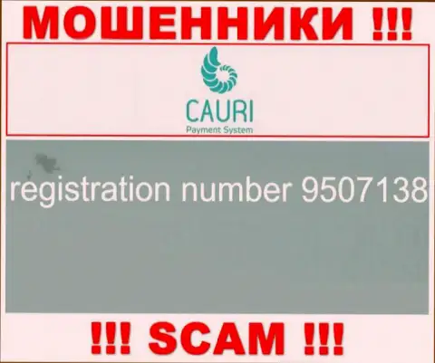 Регистрационный номер, который принадлежит жульнической организации Каури: 9507138
