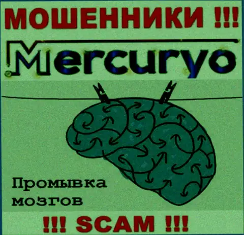 Не дайте internet-разводилам Mercuryo Co Com подтолкнуть вас на совместное сотрудничество - обманут