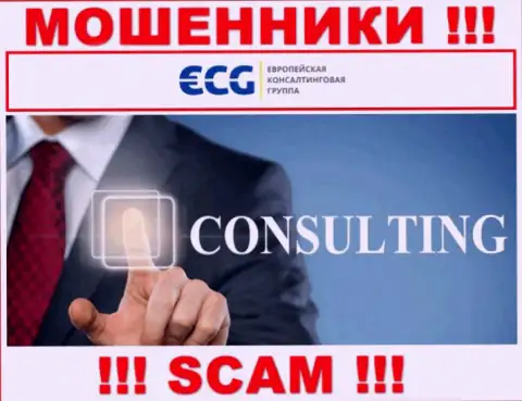 Консалтинг - это вид деятельности незаконно действующей компании EC-Group Com Ua