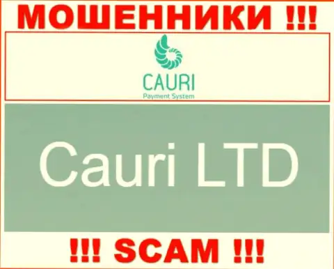 Не ведитесь на сведения о существовании юридического лица, Каури - Cauri LTD, все равно рано или поздно одурачат
