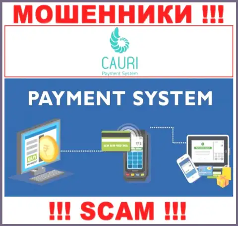 Мошенники Каури Ком, промышляя в сфере Платежная система, грабят клиентов