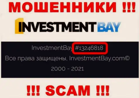 Регистрационный номер, под которым официально зарегистрирована компания Investment Bay: 13246818