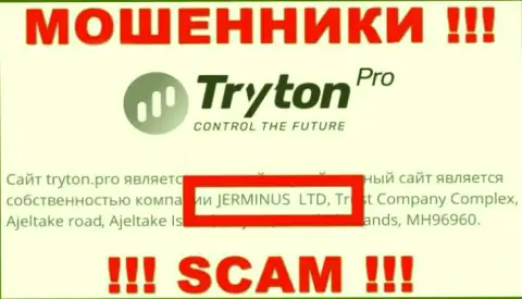 Сведения о юр лице TrytonPro - это компания Jerminus LTD