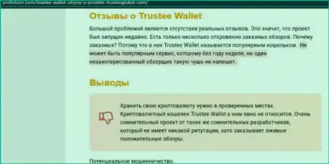 Trustee Wallet - это ВОРЮГИ ! Слив вложений гарантируют (обзор мошеннических действий организации)