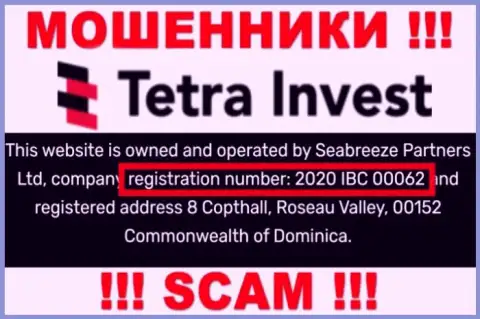 Регистрационный номер internet воров Tetra-Invest Co, с которыми слишком опасно работать - 2020 IBC 00062
