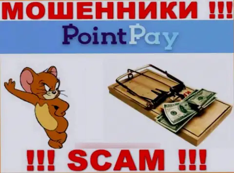 Point Pay LLC это ВОРЮГИ, не нужно верить им, если вдруг станут предлагать увеличить депо