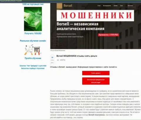 Обзор мошеннических действий скам-организации Borsell Ru - это МОШЕННИКИ !