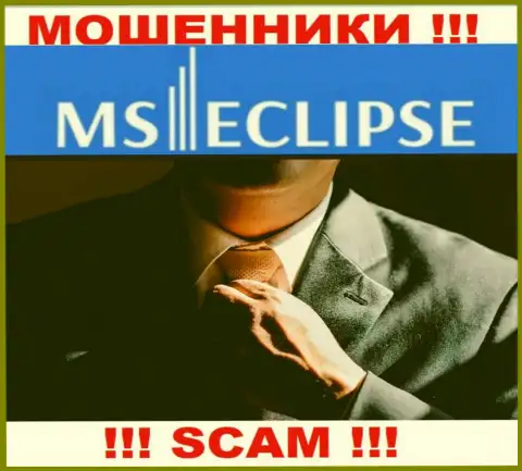 Информации о лицах, которые руководят MSEclipse Com в сети найти не удалось