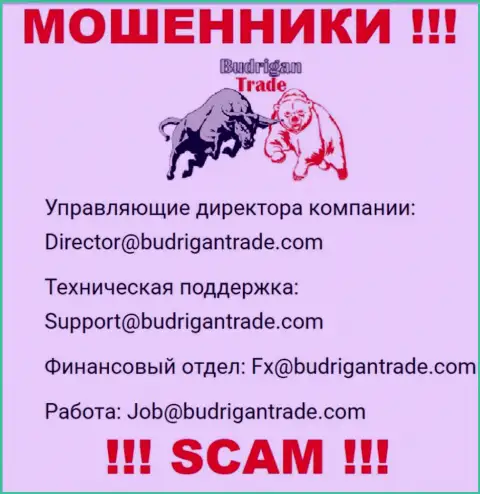 Не отправляйте письмо на адрес электронной почты BudriganTrade - это интернет-мошенники, которые воруют денежные вложения своих клиентов