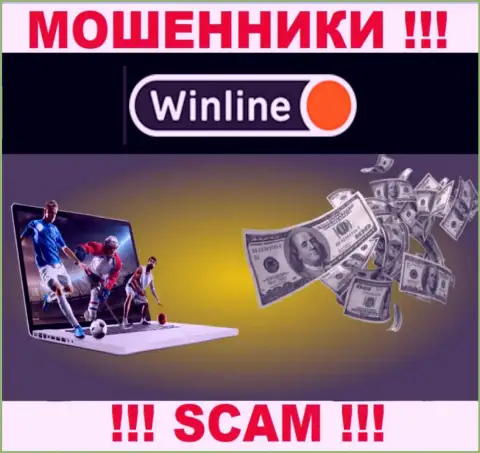 Будьте крайне бдительны !!! WinLine - это явно internet мошенники !!! Их деятельность неправомерна