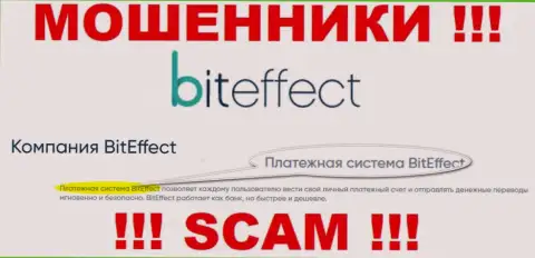Осторожнее, сфера деятельности BitEffect Net, Система платежей - это лохотрон !!!