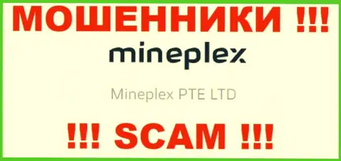Руководством Майн Плекс оказалась компания - Mineplex PTE LTD