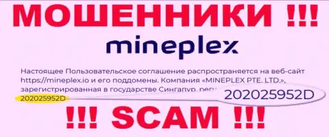 Рег. номер еще одной незаконно действующей компании MinePlex - 202025952D