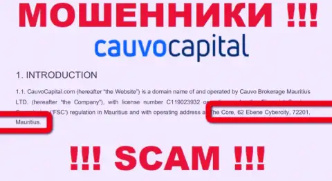 Нереально забрать обратно средства у компании CauvoCapital - они засели в офшоре по адресу: Коре, 62 Эбене Киберсити, 72201, Маврикий