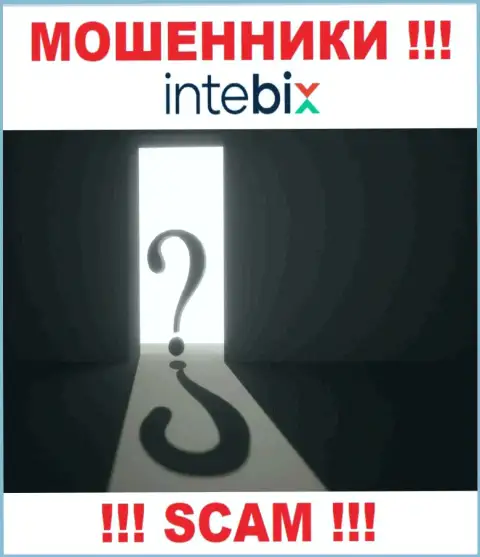 Остерегайтесь совместной работы с интернет-ворюгами Intebix - нет сведений об юридическом адресе регистрации