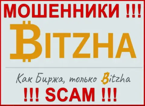 Bitzha24 - это ЖУЛИКИ !!! Денежные средства отдавать отказываются !