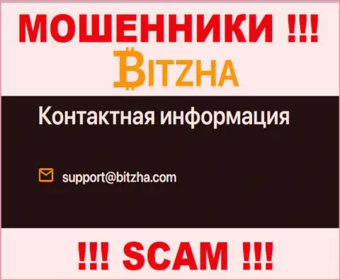 Адрес электронной почты мошенников Bitzha 24, информация с официального онлайн-ресурса