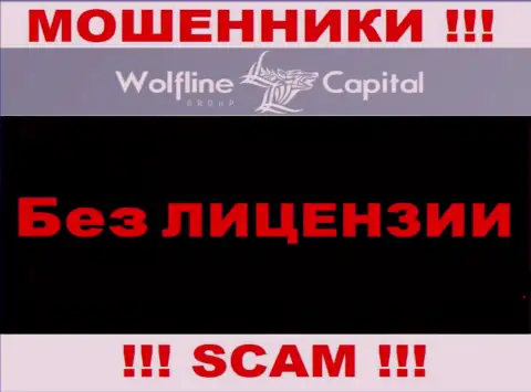 Невозможно нарыть инфу о номере лицензии ворюг WolflineCapital - ее просто не существует !!!