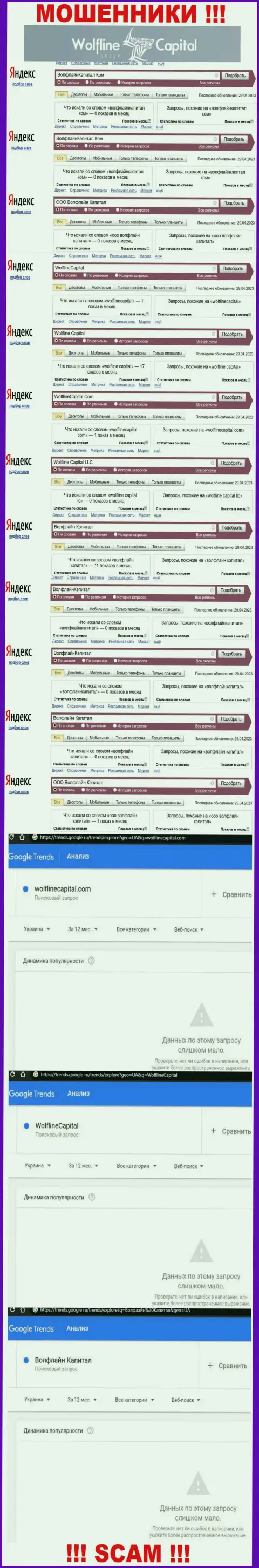 Информация об количестве интернет запросов информации о кидалах Wolfline Capital