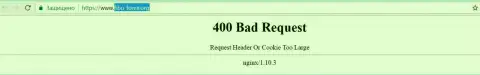 Официальный веб-сайт ДЦ Fibo Forex некоторое количество дней недоступен и выдает - 400 Bad Request