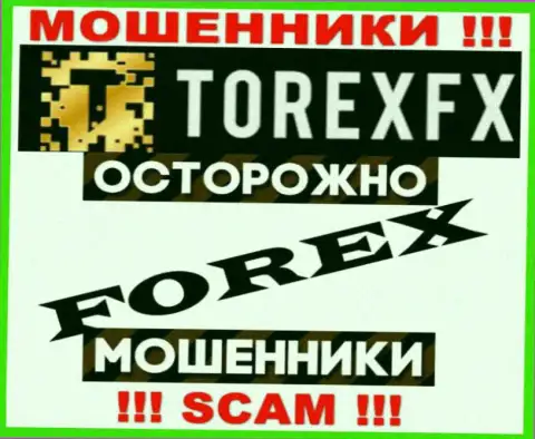 Сфера деятельности TorexFX Com: Форекс - отличный доход для internet обманщиков